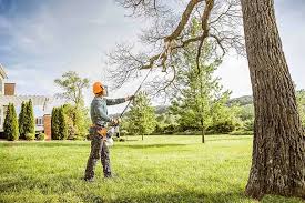 Best Lawn Grading and Leveling  in St Stephens, NC